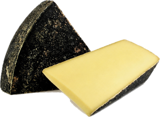 Schwarzberger mit schwarzer Kruste