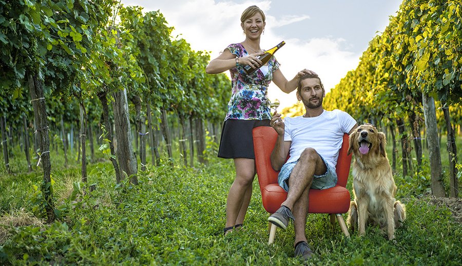 Bioweingut Diwald, Großriedenthal am Wagram