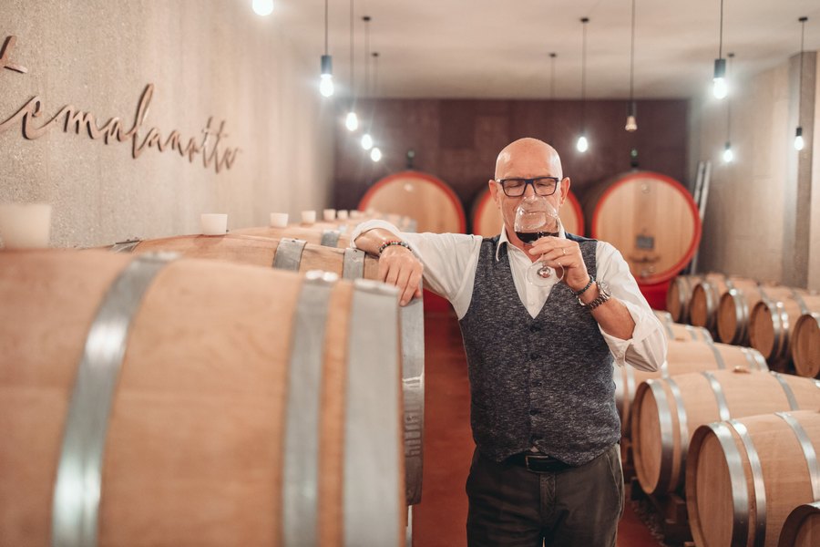 La Cantina Pizzolato, Villorba bei Treviso (Venetien)